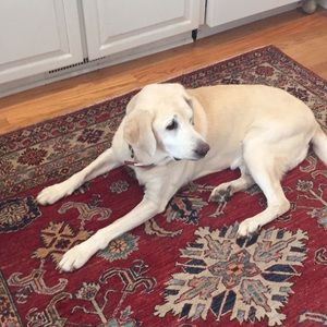 Meet your Posher, Kymberle